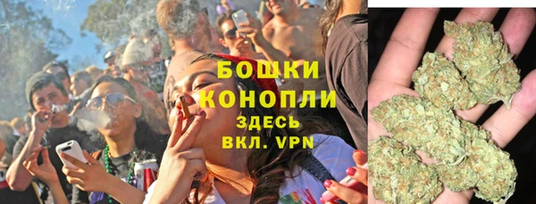 спиды Краснослободск