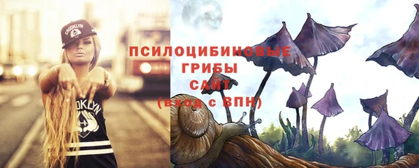 spice Коряжма