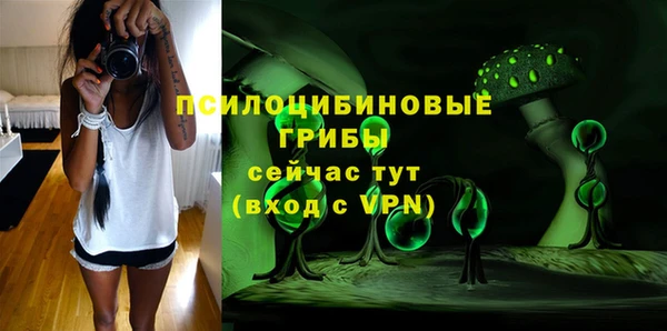 спиды Краснослободск