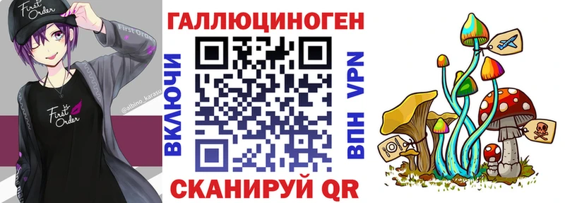 Купить где  Елизово  Галлюциногенные грибы Psilocybe 